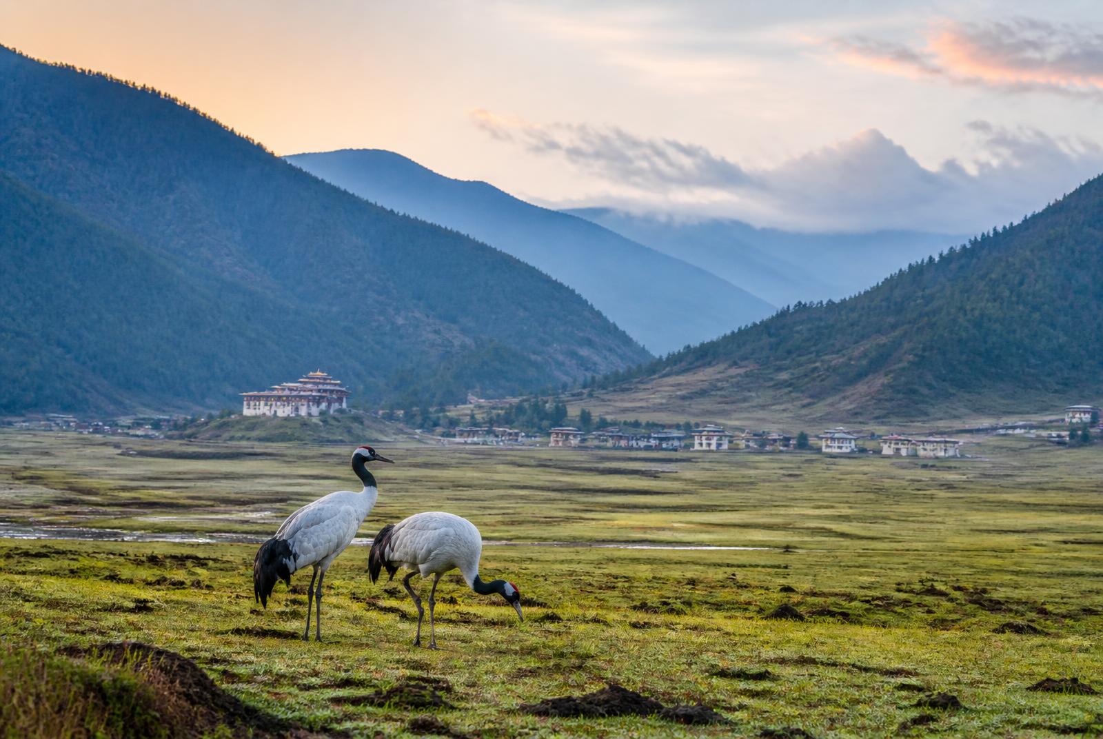 Phobjikha, Bhutan