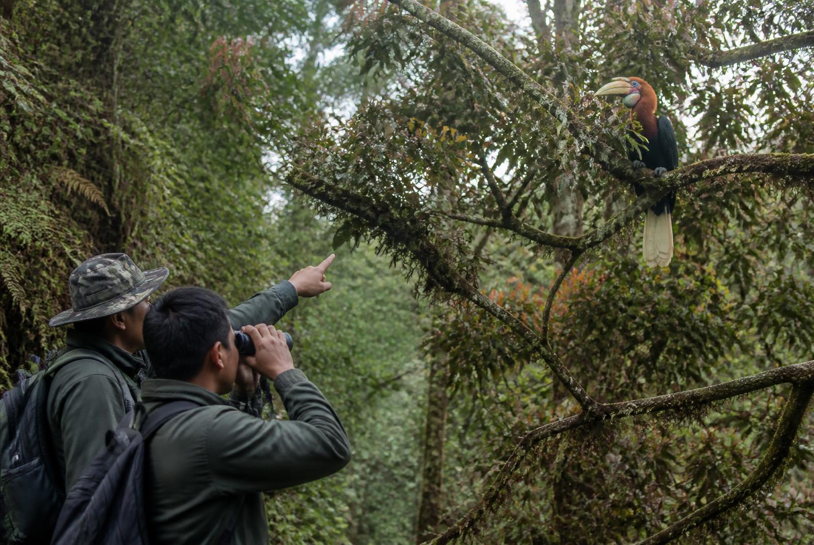 Birding Tours in Bhutan